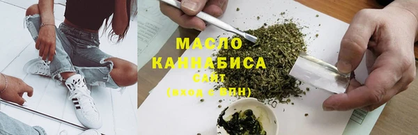 спиды Богородицк