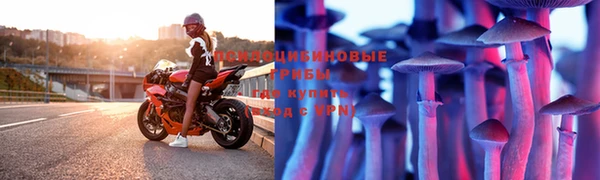 гашиш Богданович
