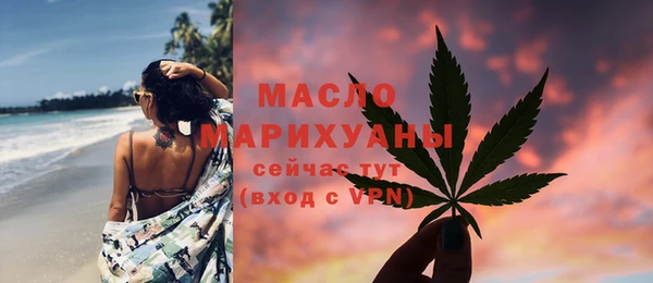 спиды Богородицк