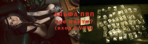 гашиш Богданович