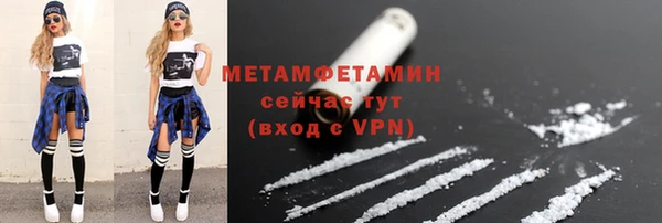 гидра Гатчина