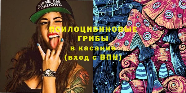 спиды Гвардейск