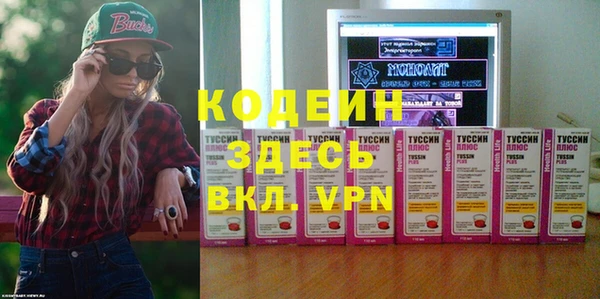 спиды Гвардейск