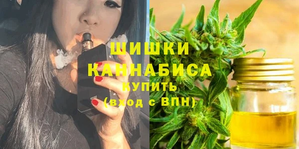 спиды Богородицк