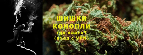 гашиш Богданович