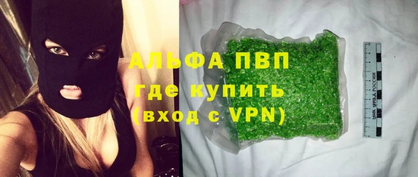 спиды Богородицк